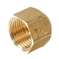 1/2-in Threaded Cap Cap Fitting