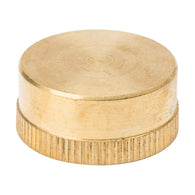 3/4-in Threaded Cap Cap Fitting