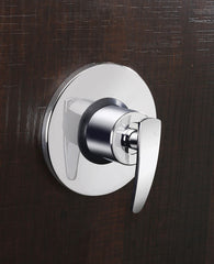 Single Lever Concealed Shower Mixer