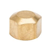 3/8-in x Compression Cap Cap Fitting
