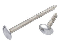 Mirror Screw